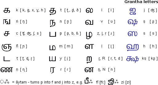 泰米尔语