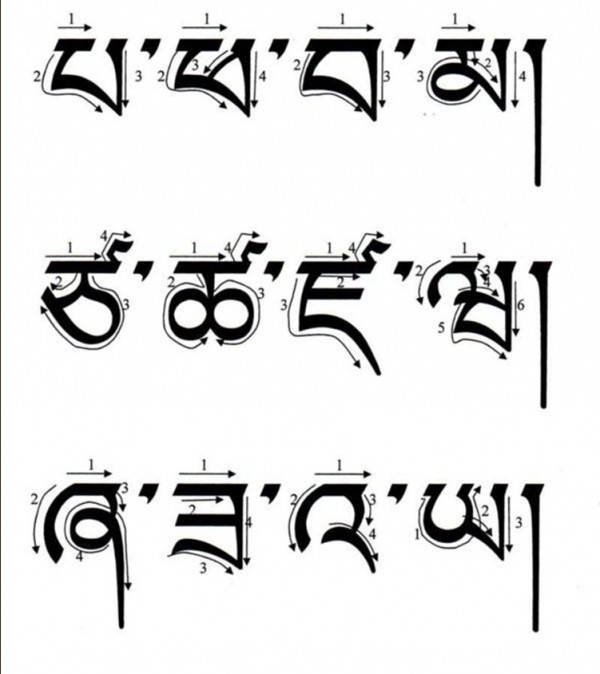 字母笔顺（二）