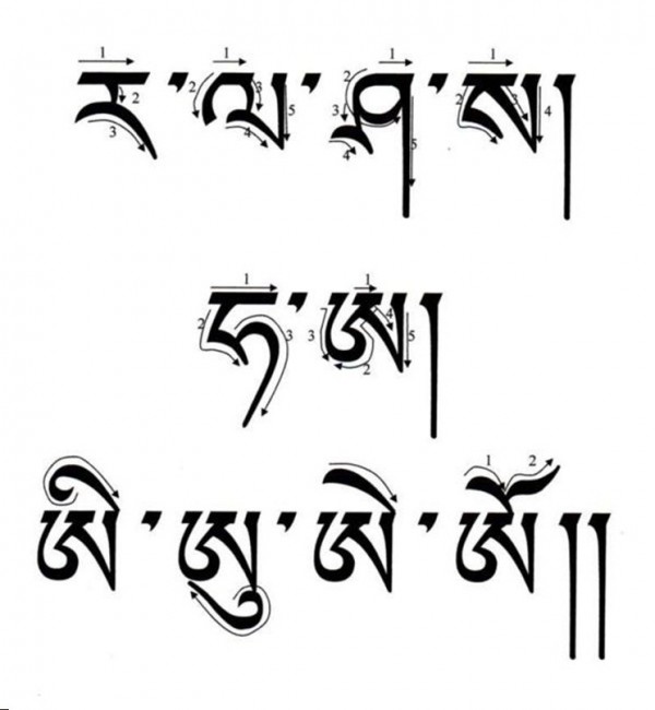 字母笔顺（三）