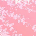 yisha