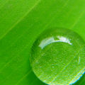haluo2