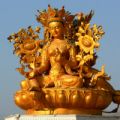 chenjunyeshe