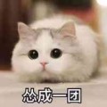 missmorw