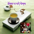 ccleaf5958