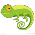 chameleon
