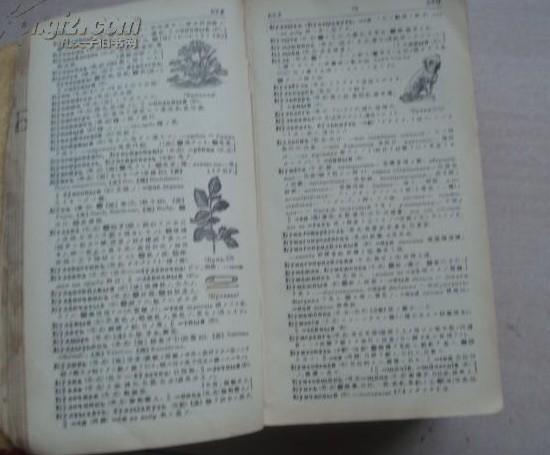 点击查看原图