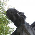 dizhaoai
