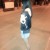 lc_camila