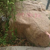 秋白秋白
